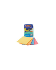 Limpión absorbente húmedo Master